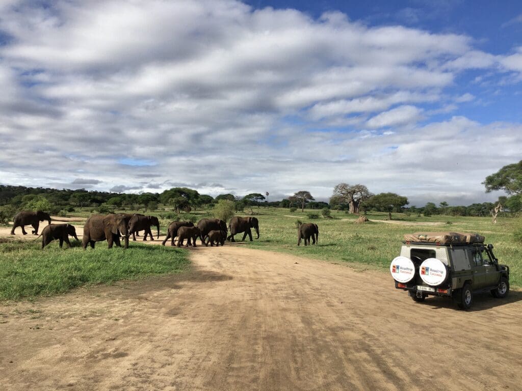 Elepant Herd with Roadtrip Africa Landcruiser
