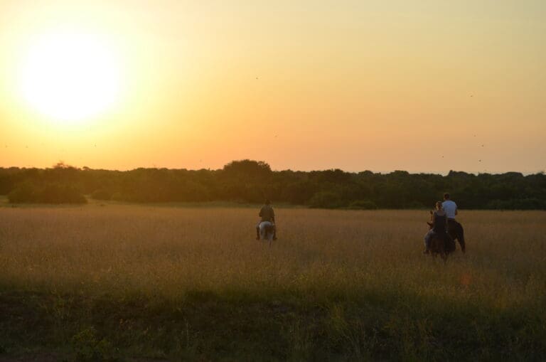 Lake Mburo Horse Riding Safari