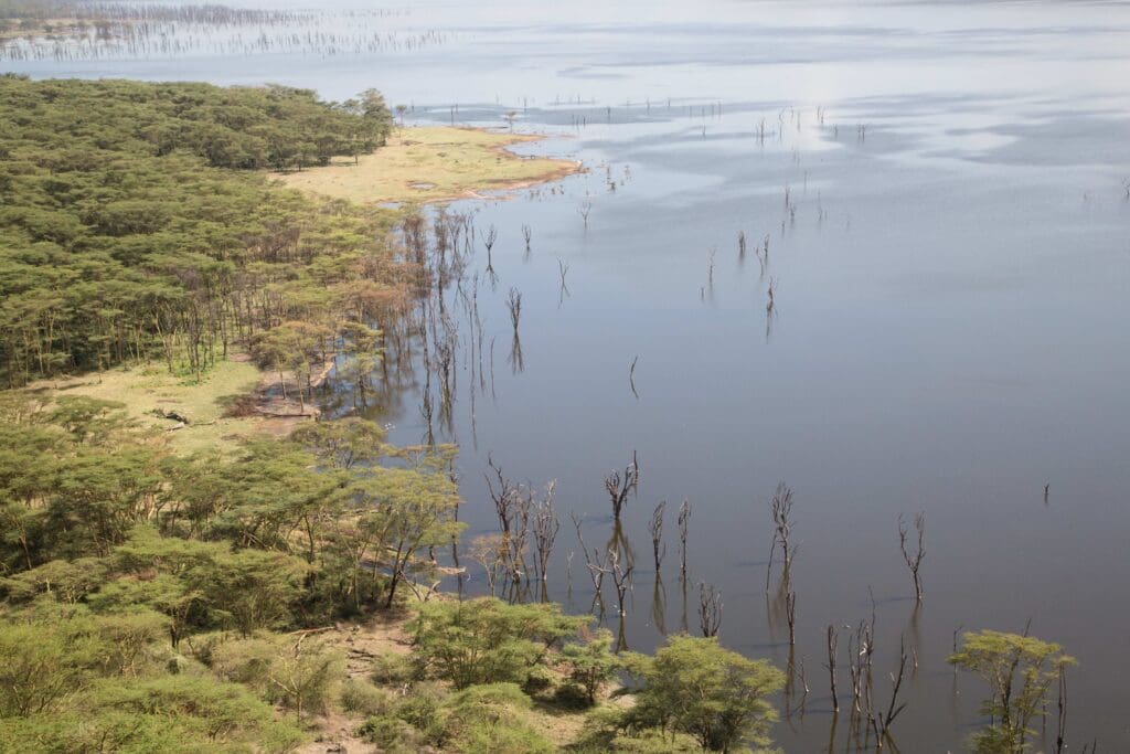 Lake Navaisha from above roadtrip kenya