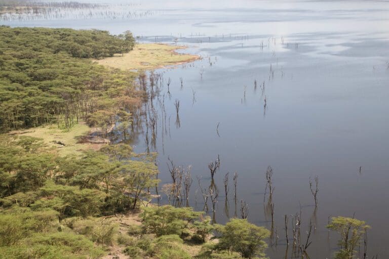 Lake Navaisha from above roadtrip kenya
