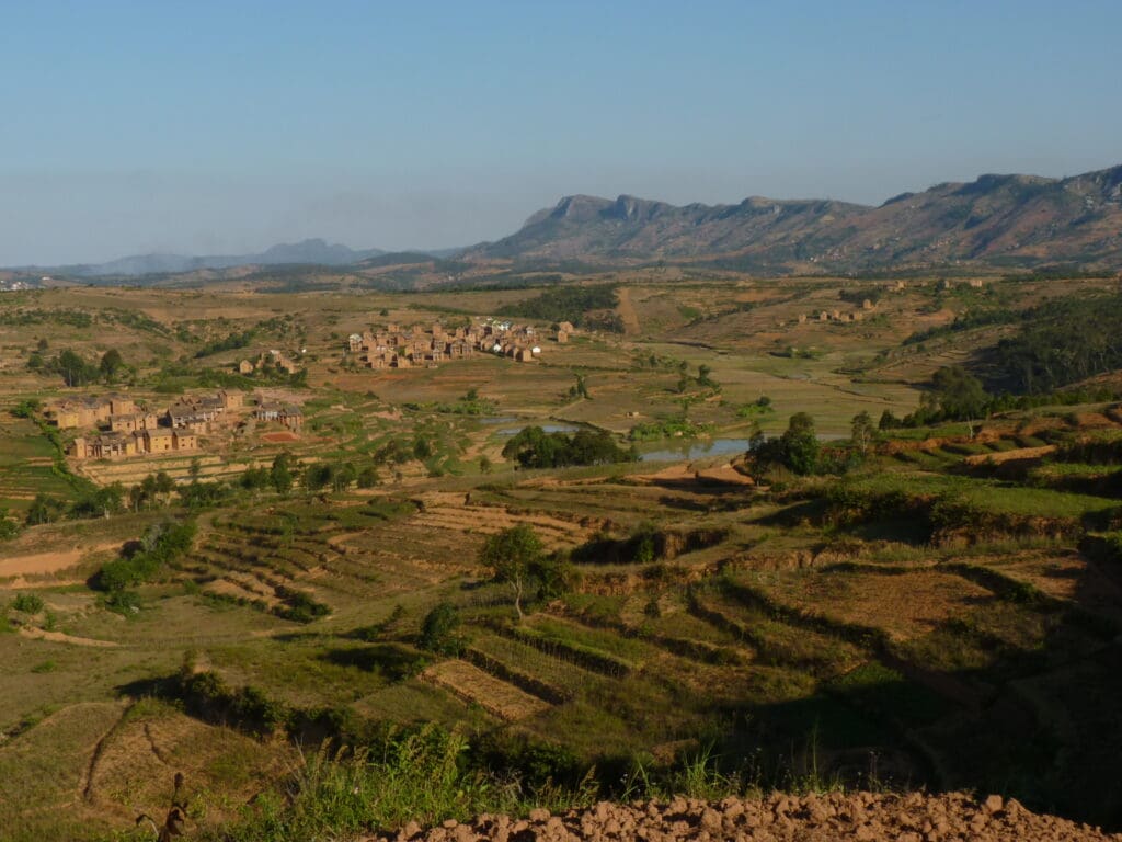 Landscape