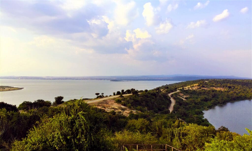 Enjoy Ugandan nature at Mweya Peninsula