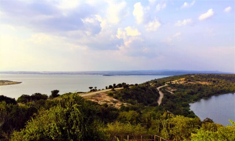 Enjoy Ugandan nature at Mweya Peninsula