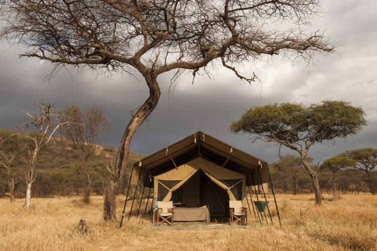 Serengeti Kati Kati Tent 4 800 739103B550d359a3f16eb972eba2d24d