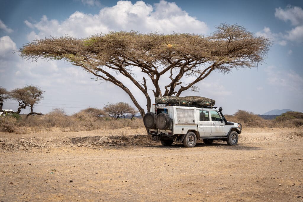 Self-drive safari in the Serengeti