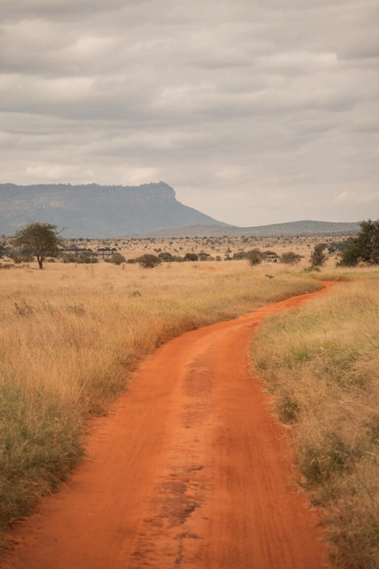 rote Schotterstraße, die sich durch eine trockene Savannenlandschaft schlängelt