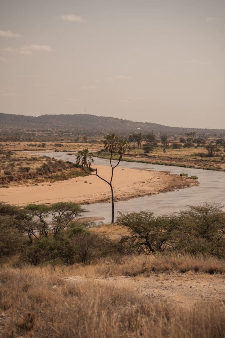 Fluss, der sich durch eine trockene afrikanische Landschaft mit Palmen schlängelt