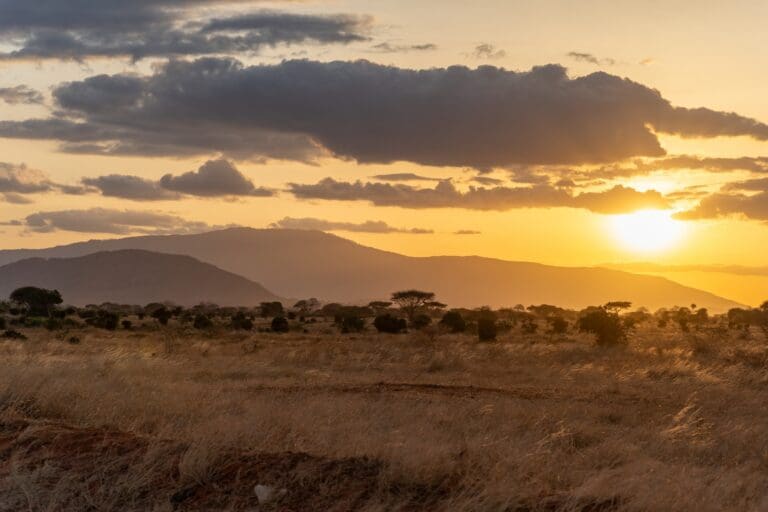 golden hour sunset over African savanna with mountains