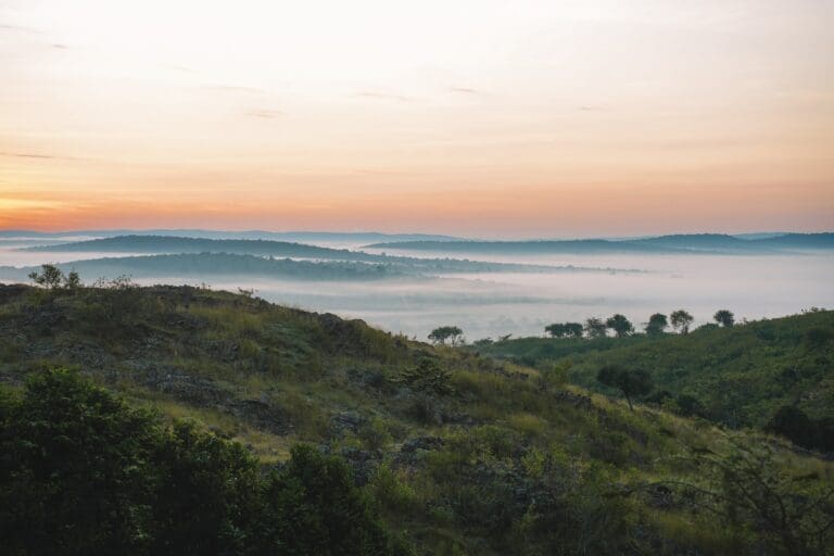 paysage de vallée brumeuse au lever du soleil en Ouganda