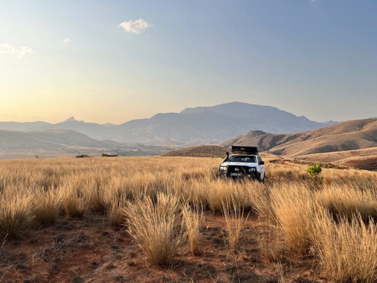 weißer 4x4 mit Dachzelt in den goldenen Graslandschaften Madagaskars