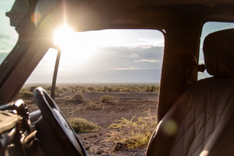 Blick aus einem Safari-Fahrzeug auf eine sonnige afrikanische Landschaft